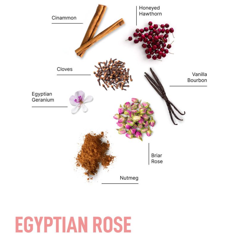 Egyptian Rose Ingredient Infogra