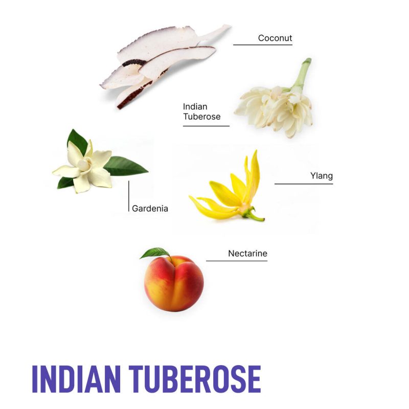 Indian Tuberose Ingredient Infog