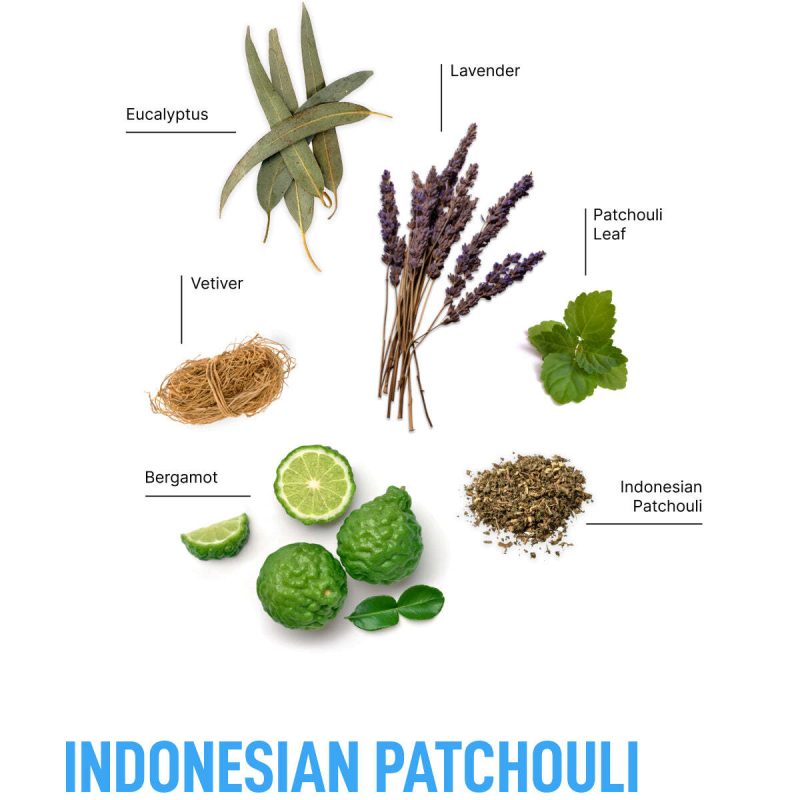 Indonesian Patchouli Ingredient