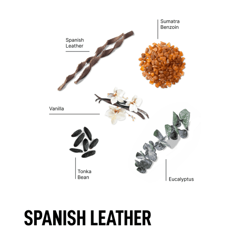 SpanishLeather 2